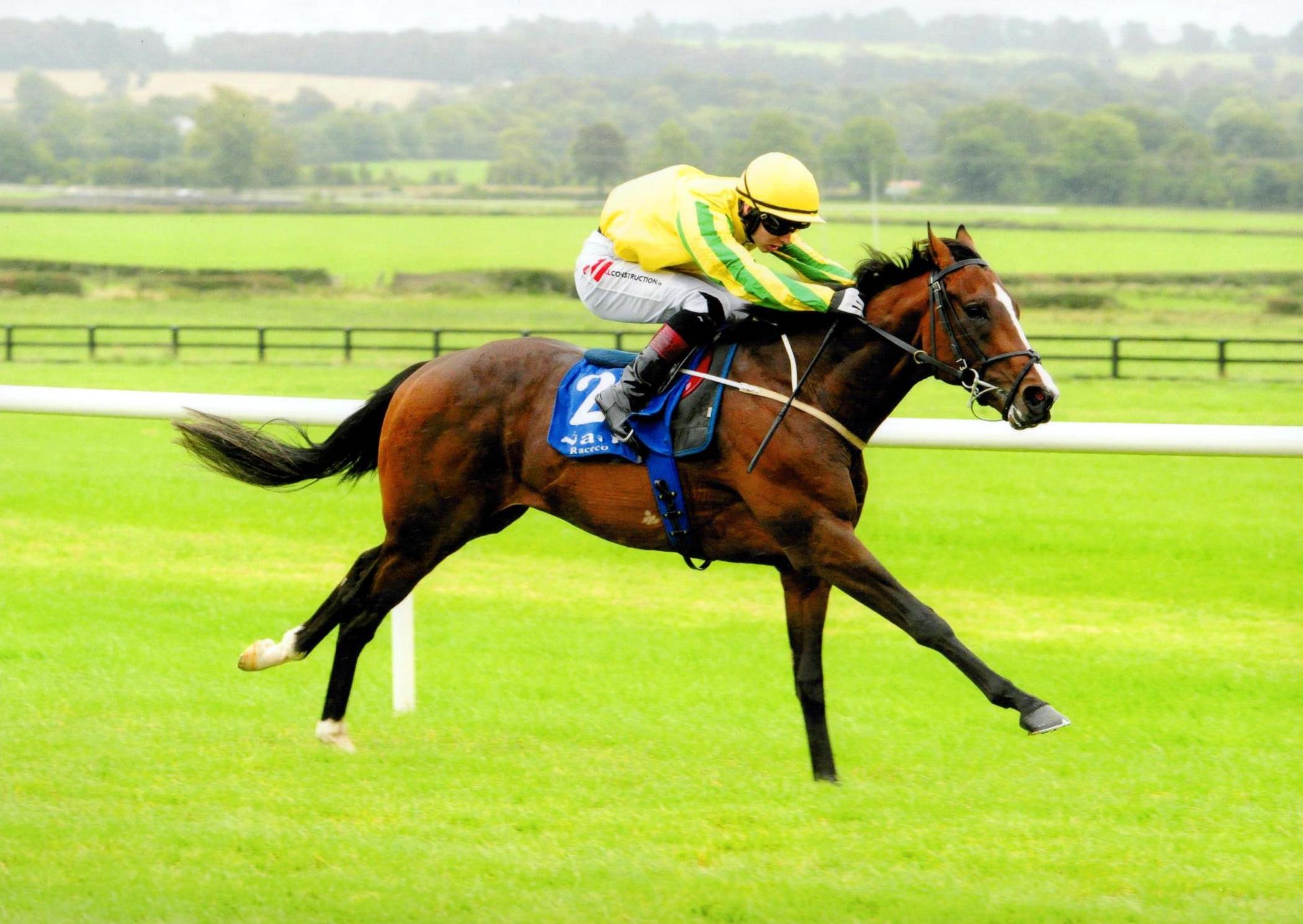 DOCTOR GEOFF winning at Naas for owner David Spratt 21st September 2016.